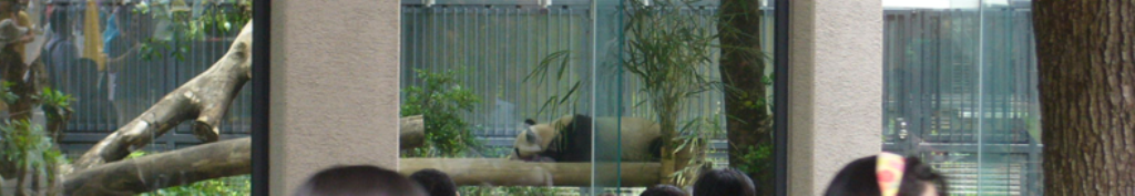 芝生に興味をもちました。