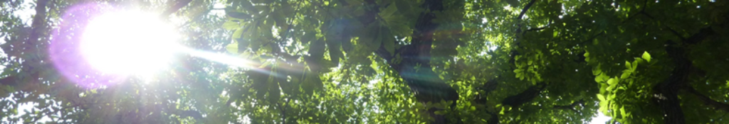 ソニックエリーナについての情報提供します！