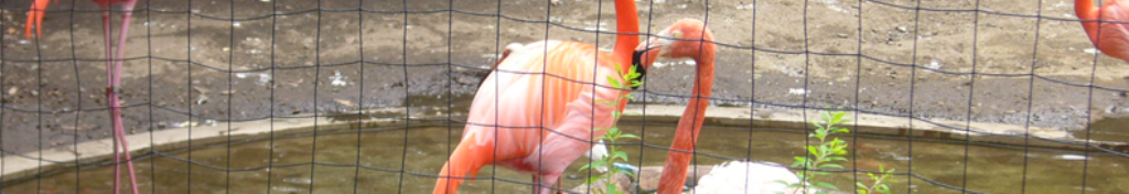 学生服についての情報です。