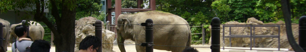 電子辞書に関しての情報を提供中